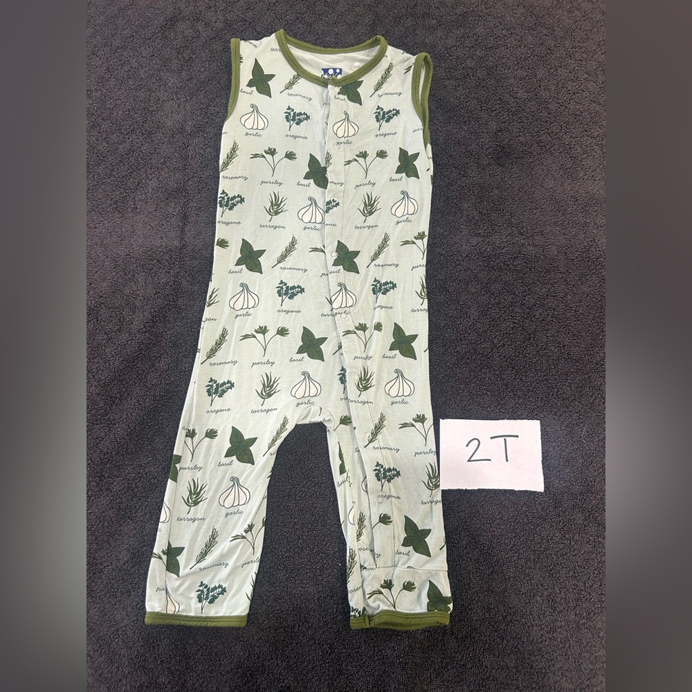 2T herb bodysuit, Kickee Pants